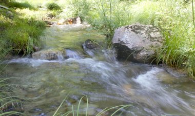 Pelos Trilhos de Portugal-Nas fragas da Ribeira das Quelhas, Castanheira de Pera