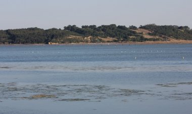 Pelos Trilhos de Portugal-Percurso dos Patos Reais, Óbidos