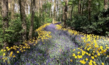 Pelos Trilhos de Portugal-Rota dos Povoados, Ansião