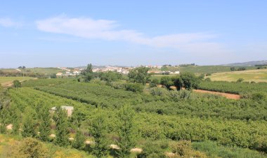 Pelos Trilhos de Portugal-Do Mestre de Avis à República, Bombarral