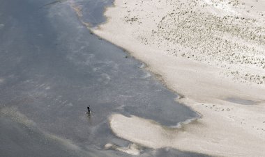 Pelos Trilhos de Portugal-Rota da Tapada, Cartaxo