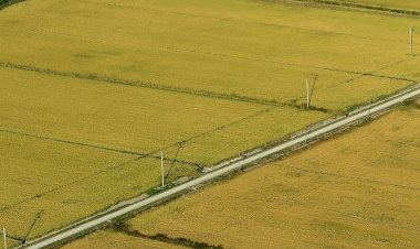 Pelos Trilhos de Portugal-A Rota das Lezírias, Benavente