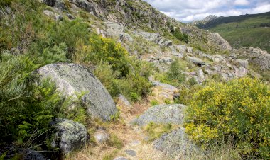 Trilhos Verdes de Manteigas foram alvo de limpeza e manutenção