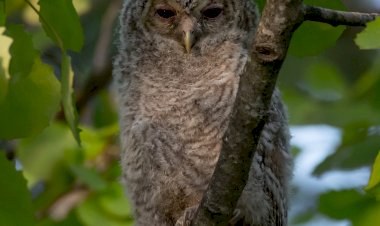 Pelos Trilhos de Portugal-Rota da Serra, Grândola
