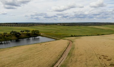 Pelos Trilhos de Portugal-Rota das Bifanas, Vendas Novas