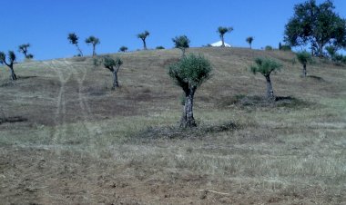 Pelos Trilhos de Portugal-Ribeira de S. Cristóvão, Montemor-o-Novo