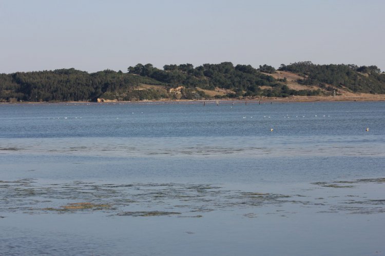 Pelos Trilhos de Portugal-Percurso dos Patos Reais, Óbidos