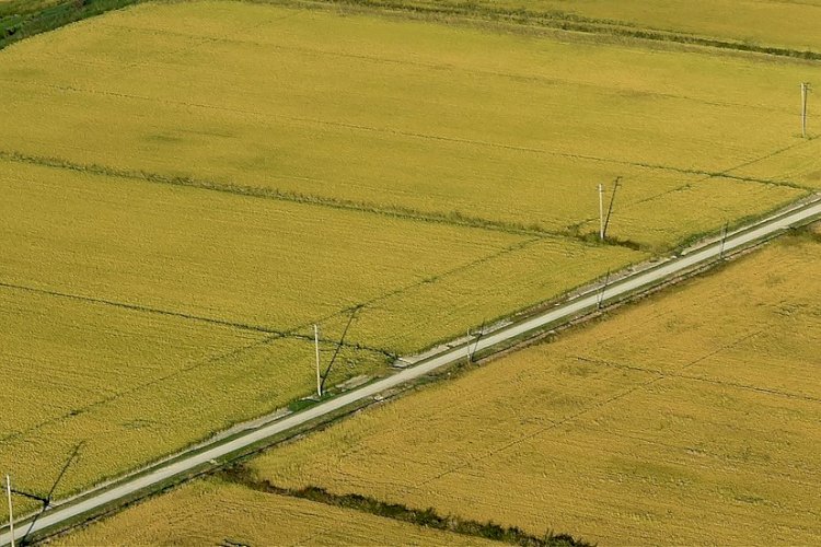 Pelos Trilhos de Portugal-A Rota das Lezírias, Benavente