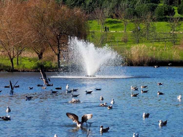 Pelos Trilhos de Portugal-Percurso no Parque da Paz, Almada