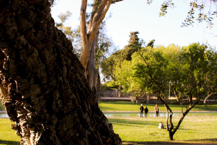 Pelos Trilhos de Portugal-Rota da Biodiversidade, Lisboa