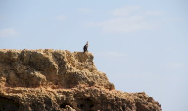 Pelos Trilhos de Portugal-Sete Vales Suspensos, Lagoa