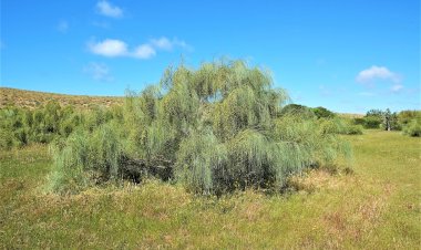 Pelos Trilhos de Portugal-Azinhal dos Mouros, Loulé