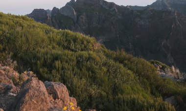 Pelos Trilhos de Portugal-Vereda do Burro, Funchal, Madeira