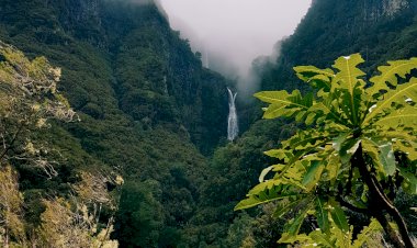Pelos Trilhos de Portugal-Levada do Alecrim, Calheta, Madeira