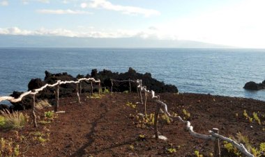 Pelos Trilhos de Portugal-Pico do Pedro, Velas