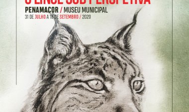 Exposição do “Concurso de Criação Artística - O Lince sob Perspectiva” inaugurada a 31 de Julho