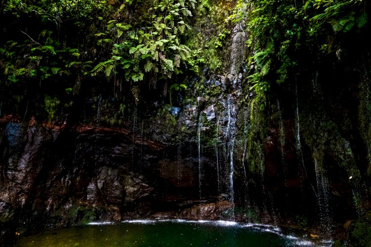Pelos Trilhos de Portugal-Levada Fajã do Rodrigues, São Vicente