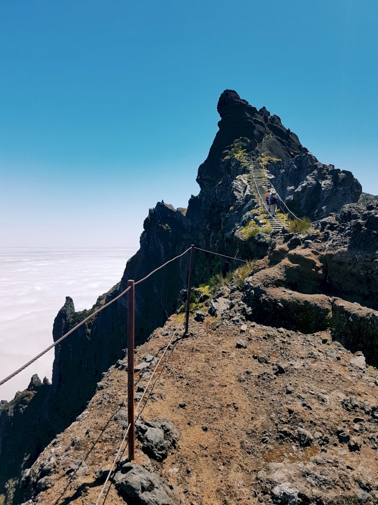 Pelos Trilhos de Portugal-Caminho do Pináculo e Folhadal, Ribeira Brava, Madeira