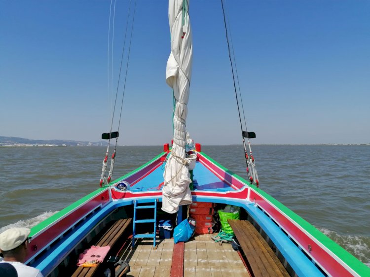 Barco Varino “Vala Real” regressa às águas do Tejo, em Azambuja