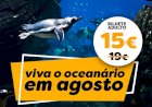Oceanário com preços especiais em Agosto