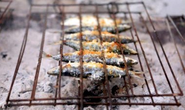 Mesmo sem festival, a Sardinha continua a ser Rainha em Portimão