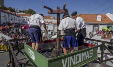 Programa Vindimas 2020 evoca festa emblemática de Palmela