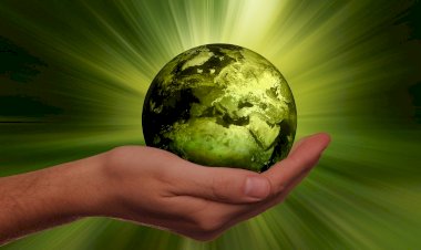 Setúbal adere ao Dia Europeu sem Carros