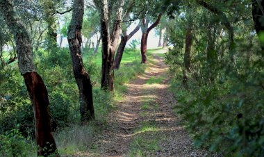 Grândola vê aprovada candidatura para valorização do Turismo de Natureza