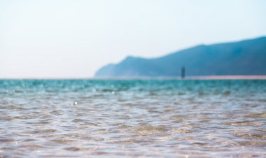 Moinho de Maré da Mourisca integra Rede Ciência Viva