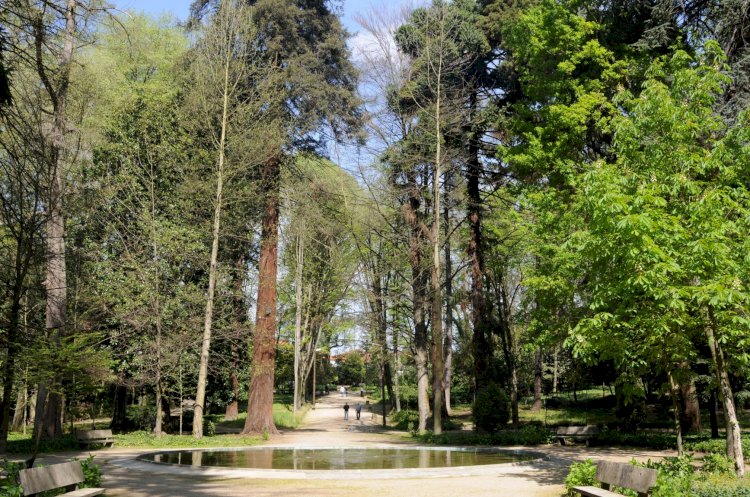 Parque das Termas de Vizela na rota dos jardins históricos