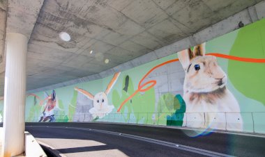 Mural pintado em túnel na estrada da Arrábida