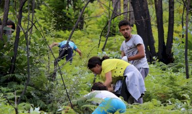 Arganil vence concurso de postais da União Europeia com projecto Exploradores@PPSerraAçor