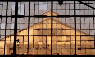 Maus Hábitos acolhe exposição coletiva Contracto Natural com curadoria de Bruno Leitão (Hangar)