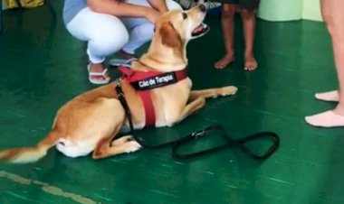 “Mind the Dog” um projeto inovador de Intervenções Assistidas por Animais que nasce em Castro Verde