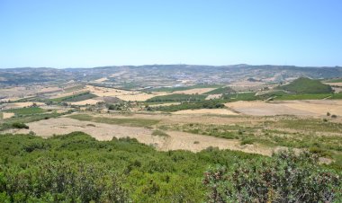 Arruda dos Vinhos promove debate online de adaptação às alterações climáticas