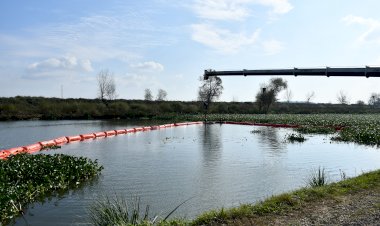 Nenúfar-amarelo do Baixo Mondego com mais protecção