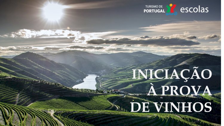 Turismo de Portugal lança curso de Iniciação à Prova de Vinhos, online e gratuito
