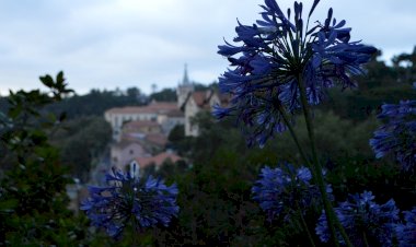 Uma exposição que nos transporta para Sintra Antiga