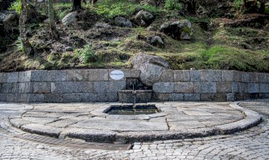 Curiosidades e histórias à volta do Mondego