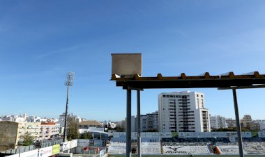 Portimão vai disponibilizar 30 caixas-ninho para aves