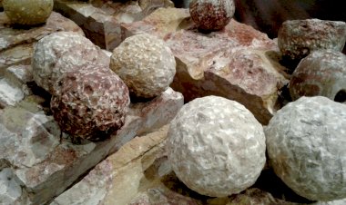 Exposição retrospetiva de Volker Schnüttgen na Reitoria da Universidade do Porto com curadoria da zet gallery