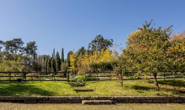 Serralves torna-se membro da Climate Change Alliance of Botanic Gardens