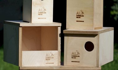 Projeto de alojamento local para aves chega a Lagos