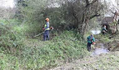 Câmara de Cantanhede promove limpeza e desobstrução de linhas de água