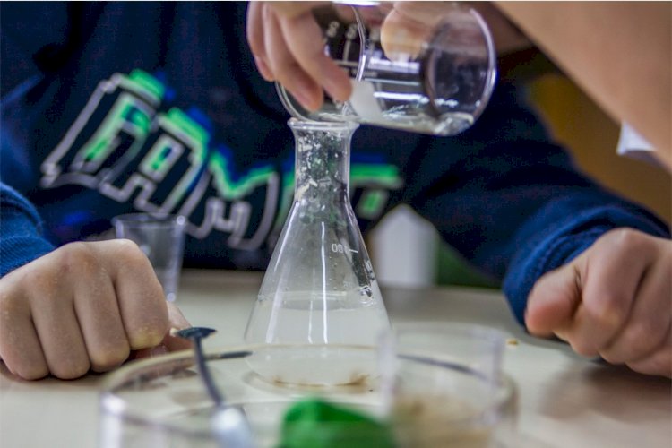 Fórum Nacional Clubes Ciência Viva na Escola: o futuro da ciência está nas mãos destes alunos