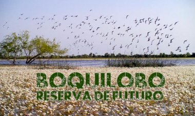 Estreia de curta metragem Boquilobo. Reserva de Futuro