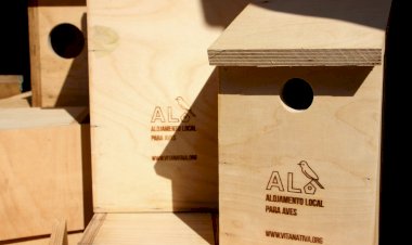 Castro Marim instala Caixas-Ninho para promover avifauna no território