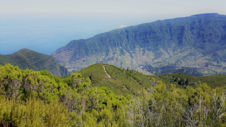 Projeto da estrada das Ginjas é um atentado ao património natural da Madeira, dizem nove ONG de Ambiente