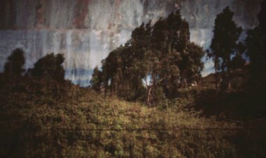 Reabertura da exposição “Primeiras Impressões de uma Paisagem”