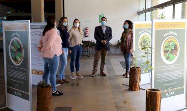 São Roque do Pico inaugurou uma exposição sobre ‘Plantas Endémicas dos Açores’